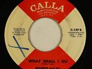 Northern Soul 45 - Frankie & The Classicals - What Shall I Do - Calla - mp3