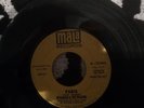 reparata and the delrons. Panic arla promo copy