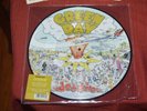 Green Day - Dookie - Brand New Vinyl LP Picture Disc