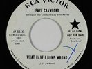 Northern Soul 45 - Faye Crawford - What Have I Done Wrong - RCA Victor VG++ mp3
