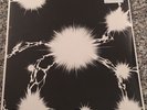 Motorpsycho: Black Hole/Black Canvas (Vinyl) 2LP-Set / NEU