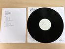 Holy Terror ?– Terror and Submission (RARE VINYL TEST PRESSING)
