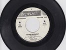 Kinks  45 Waterloo Sunset/Two Sisters REPRISE rare WHITE LABEL PROMO garage