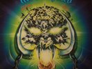 12  LPs -70-80er - Motörhead/Nektar/Boston/Blue Band/Roxy Music/ASIA/REO ...