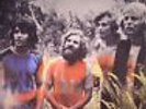 TAMAM SHUD - Evolution (Soundtrack) (reissue) - Vinyl (LP)