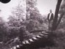 TIMBER TIMBRE - Timber Timbre (10th Anniversary) - Vinyl (LP)