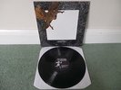 THE ORCHIDS - Unholy Soul(UK 1991 1ST PRESS VINYL ALBUM / SARAH / NR MINT VINYL)