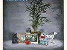 Tigers Jaw - Spin Vinyl LP