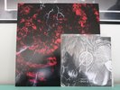 Bone Awl/ Ashdautas Lp arizmenda rhinocervs volahn raspberry bulbs bathory gism