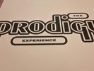 The Prodigy - The Prodigy Experience LP - XL Records - 2 x 12