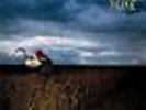 DEPECHE MODE - A BROKEN FRAME VINYL LP  NEU/OVP