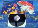 WITTHÜSER & WESTRUPP ? DER JESUSPILZ ? RARE 190 G MINT-VINYL  RECORDS No.10