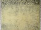 Colosseum Daughter Of Time Bronze Vinyl LP