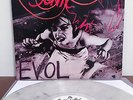 SONIC YOUTH Evol Vinyl LP 2010 Pixies Breeders Nirvana Dinosaur Jr Joy Division