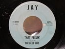 THE BLUE JAYS-RARE 1965 Northern Soul-THAT FEELIN'/POINT OF VIEW-ORIGINAL JAY 45