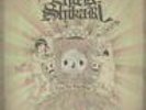 ENTER SHIKARI - Take To The Skies (reissue) - Vinyl (2xLP)