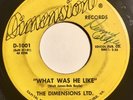 * DIMENSIONS LTD What Was He Like/Runaway GARAGE SOUL SURF PSYCH Private 45 Hear
