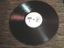 Bob Dylan - TALKIN' BEAR MOUNTAIN MASSACRE  LP | Bootleg | EX TMOQ 71009