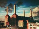 Pink Floyd, Animals LP (12