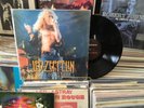 RARE AND HTF LED ZEPPELIN TEADY BEARS PICNIC NOV 11 1971 NEWCASTLE CITY HALL EX