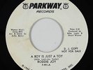 Northern Soul 45 - Roddie Joy - A Boy Is Just A Toy - Parkway - VG+ mp3