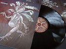 MASTERS HAMMER Vagus Vetus LP NEW emperor cradleoffilth root cultoffire behemoth