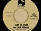 Northern Soul 45 - Wallace Johnson - Baby Go Ahead - Sansu - VG++ mp3