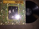 THE LEAVES Hey Joe USA LP Psych Rock  MONO VG+ 1966