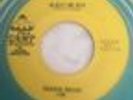 Indiana Garage Experimental Orange Wedge Reject Me Not LAMP 45rpm