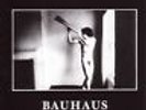 Bauhaus - In The Flat Field Vinyl LP (2) 4ad/beggar NEU
