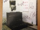 IDLES LIMITED RELEASE BRUTALISM SIGNED VINYL ALBUM RARE BLUE LP