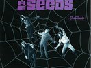 THE SEEDS A Web Of Sound 180g vinyl 2LP garage punk extra tracks alternate takes