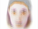 Laetitia Sadier : Something Shines VINYL 12