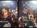 Michael Jackson LP Album Michael white Vinyl RARE