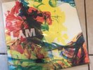 New Pair Serato LYM Lost Your Marbles Clear Control Vinyl Pressing DJ Rare