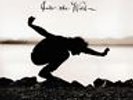 Eddie Vedder - Into The Wild Vinyl LP Music On Vinyl NEW