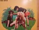 THE SLITS PUNK ORIGINAL 12 INCH SINGLE RECORD TYPICAL GIRLS
