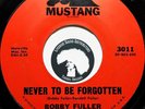 BOBBY FULLER FOUR 