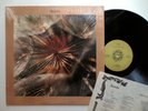 MARCUS ALLEN seeds - NM/NM SHRINK fender rhodes mellow new age ssw psych folk