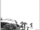 Timber Timbre-Hot Dreams  VINYL NEUF