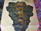 CLEAN '67 Orig ? THE ULTIMATE SPINACH ?1st   SWIRL ACID HEAD BOSSTOWN PSYCH KING
