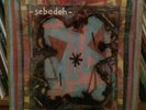Sebadoh Bubble & Scrape Vinyl Rare US Sub Pop Orig. VG+ Lou Barlow Dinosaur Jr