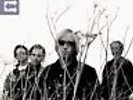 Petty  Tom & The Heartbreakers - Echo