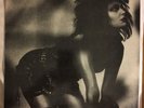 Siouxsie And The Banshees:Love In A Void 12