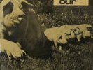 Pink Floyd ?– Tour 73 Swiss 12
