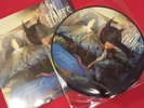 In Flames A Sense Of Purpose Picture Disc LP #1835 Brand New-Never Played