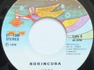 BORINCUBA ESA MUJER ME GUSTA / VETE 45 HEAR
