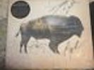 Heartless Bastards - Arrow (LP) Mint Used Vinyl  *** SIGNED***