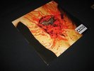 Dismember - Indecent And Obscene Vinyl LP Ex Ex Blue Vinyl