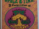 ORANGE ALABASTER MUSHROOM Space & Time: A Compendium Original UK LP Psych Garage